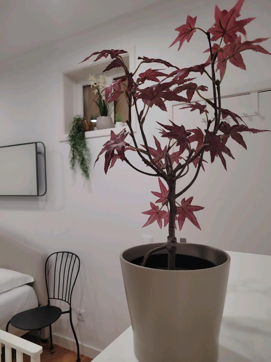 Varanda Privada Iroom Lisboa Екстериор снимка